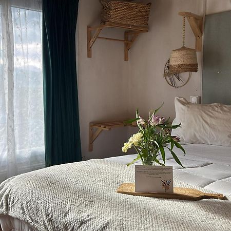 Casa Balmaceda Backpackers Hostel Койхайке Екстериор снимка